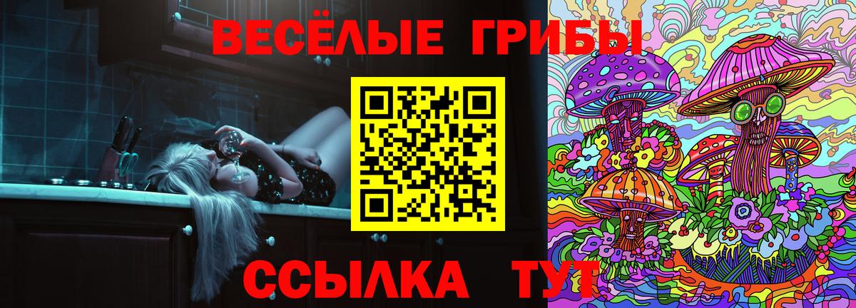 Псилоцибиновые грибы Psilocybine cubensis Нягань